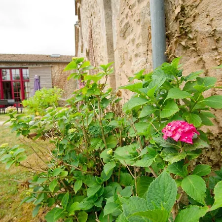 La Belle Lurette 3*